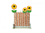 Декорация Забор с подсолнухами (высокий)