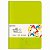 Тетрадь 48 л. в клетку обложка кожзам SoftTouch, сшивка, A5 (147х210мм), САЛАТОВЫЙ, BRAUBERG RAINBOW, 403878