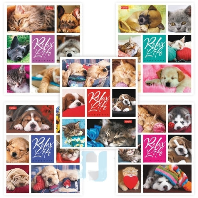 Тетрадь 24 л., HATBER, клетка, обложка картон, "Relax Life" (5 видов), 24Т5В1