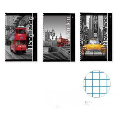 Тетрадь А4 80 л. АЛЬТ гребень, клетка, глянцевая ламинация, "Города" (3 вида), 7-80-001