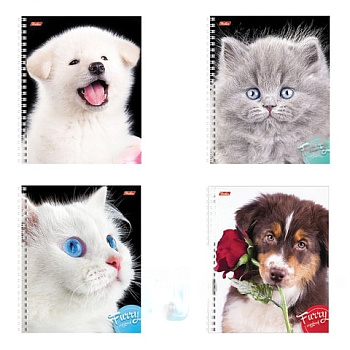 Тетрадь А5, 80 л., HATBER, гребень, клетка, обложка картон, "ПУШИСТЫЕ МОРДОЧКИ" (4 вида), 80Т5В1гр, T213551