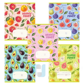 Тетрадь 18 л. BRAUBERG линия, обложка картон, "ФРУКТЫ", 106482