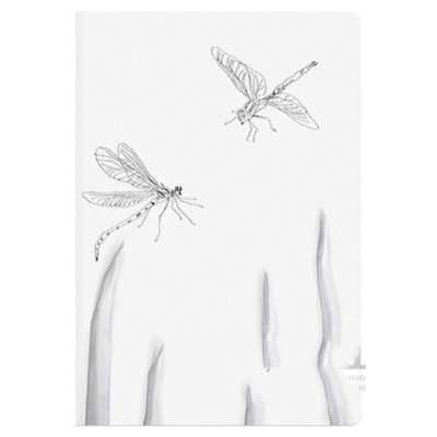 Тетрадь ЕВРО А5 40 л. BRUNO VISCONTI сшивка, клетка, Soft Touch, бежевая бумага 70 г/м2, "DRAGONFLY", 7-40-001/04