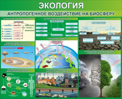 Стенд "Экология. Антропогенное воздействие на биосферу", 1100х900 мм