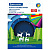 Цветная бумага А4 мелованная (глянцевая), 20 листов 10 цветов, в папке, BRAUBERG, 210х297мм, "Моя страна", 129928