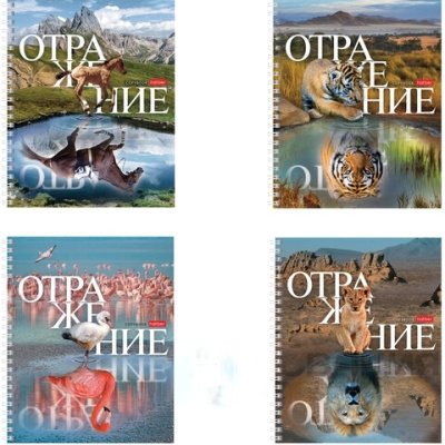 Тетрадь А5 48 л. HATBER гребень, клетка, обложка картон, "Отражение" (4 вида в спайке), 48Т5В1гр