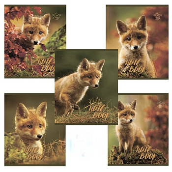 Тетрадь А5, 48 л., ПЗБМ, скоба, клетка, конгрев, глянцевый лак, "Хитрый лис" (5 видов), 028061