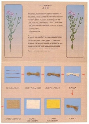 Коллекция "Лен и продукты его переработки"