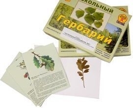 Гербарий к курсу основ общей биологии (17 видов)