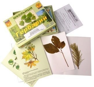 Гербарий демонстрационный сборный "Систематика растений. Водоросли. Грибы. Лишайники"