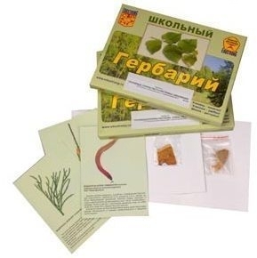 Гербарий с иллюстрациями и фотографиями Основные группы растений. Грибы. Лишайники