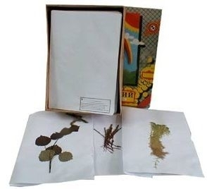 Гербарий демонстрационный сборный "Растения. Группы растений. Растительные сообщества"