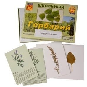 Гербарий с иллюстрациями "Лекарственные растения"