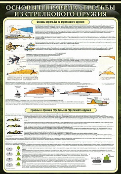 Стенд в школу "Основные правила стрельбы из стрелкового оружия", 0,7х1 м