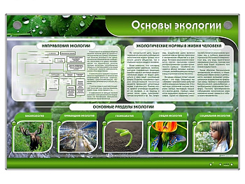 Электрифицированный стенд Основы экологии