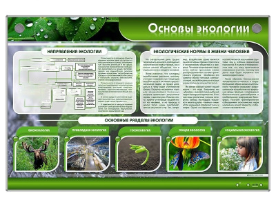 Электрифицированный стенд Основы экологии