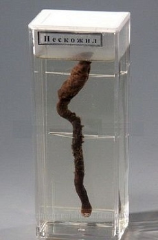 Влажный препарат "Пескожил"