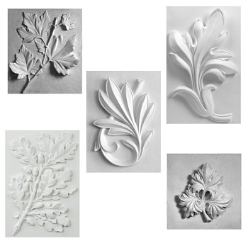 Комплект гипсовых моделей растений