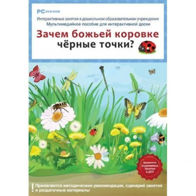 Интерактивные занятия в ДОУ. Зачем божьей коровке черные точки?