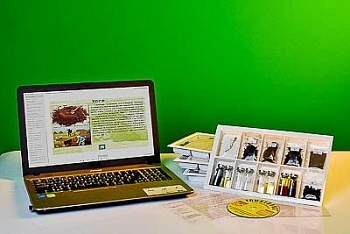 Коллекция натурально-интерактивная Торф и продукты его переработки