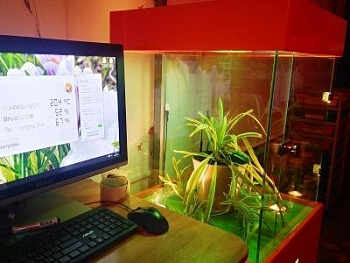 Детская биолаборатория Умная теплица