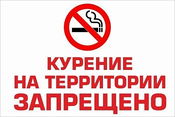 Табличка Курение на территории запрещено, 30*20см