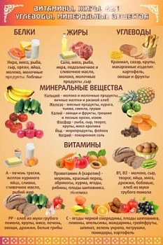 Стенд Витамины, жиры, углеводы, 600х900 мм
