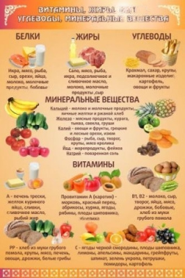 Стенд Витамины, жиры, углеводы, 600х900 мм