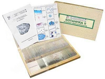 Комплект микропрепаратов "Ботаника 2"