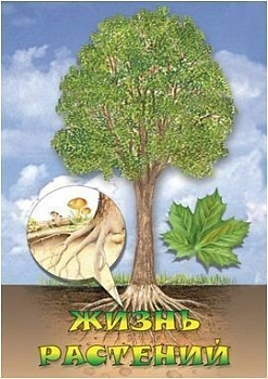 Видеофильм Земля. Ботаника. Эволюция животного мира (7 дисков)