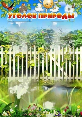 Стенд Уголок природы