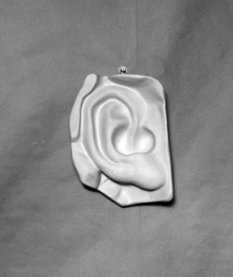 Гипсовая модель Ухо правое Давида