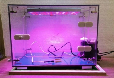 Детская биолаборатория Умная грядка