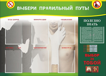 Стенд Выбери правильный путь, 1,4х1 м