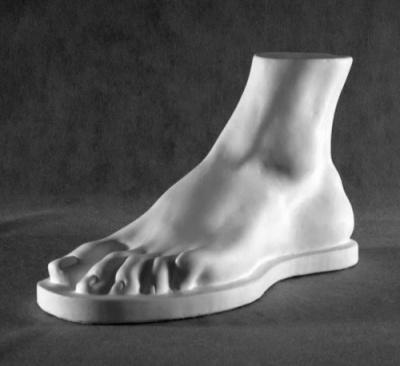Гипсовая модель Стопа человека