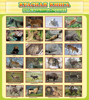 Стенд Красная книга Млекопитающие