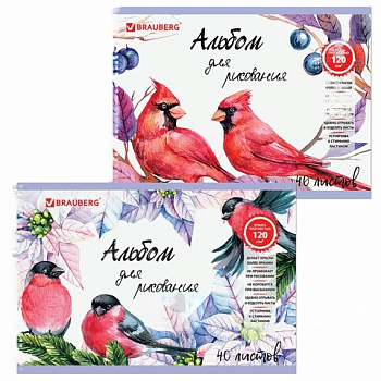 Альбом для рисования, А4, 40 л., гребень, выборочный лак, подложка, внутренний блок 120 г/м2, BRAUBERG, 205х290 мм, "Птицы" (2 вида), 105103