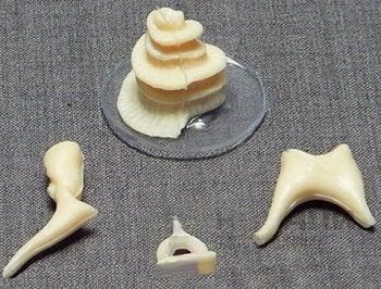 Модель Косточки слуховые