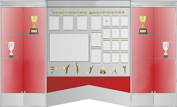 Витрины для кубков со стендом Спортивные достижения