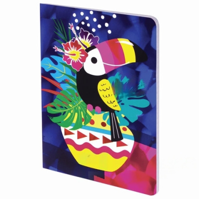 Блокнот МАЛЫЙ ФОРМАТ (103х148 мм) А6, 32 л., сшивка, голограмма, клетка, ЮНЛАНДИЯ, Тукан, 662702