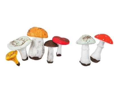 Набор муляжей Грибы съедобные и ядовитые