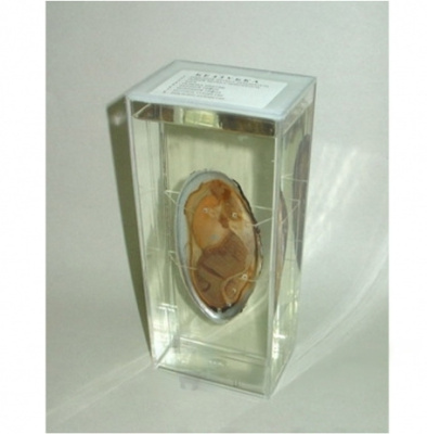 Влажный препарат "Беззубка"