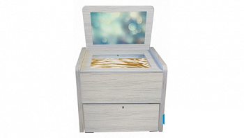 Сундучок психолога-дефектолога Антошка