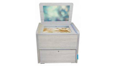 Сундучок психолога-дефектолога Антошка