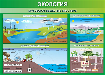Стенд Круговорот веществ в биосфере, 1400х1000 мм