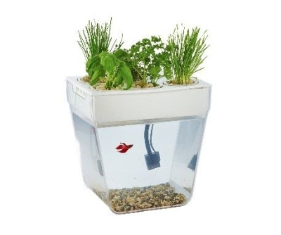Набор для уголка природы Акваферма (без рыбок)