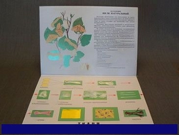 Коллекция "Шелк для начальной школы"