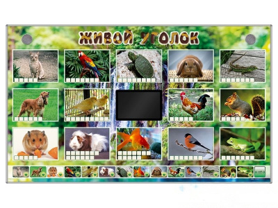 Комплект оборудования Живой уголок (животные)