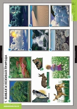 Комплект плакатов Летние и осенние изменения в природе