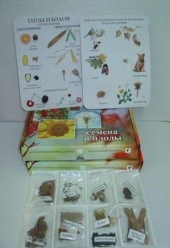 Коллекция "Семена и плоды" с раздаточным материалом